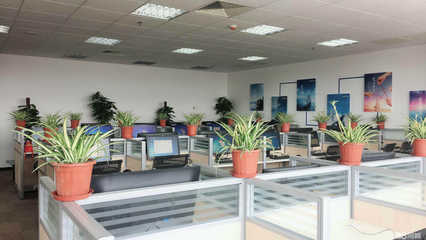 上海荀韻商務咨詢